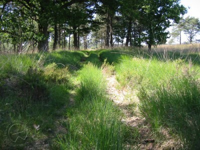 aardgeesten - plaats van het gebeuren ©